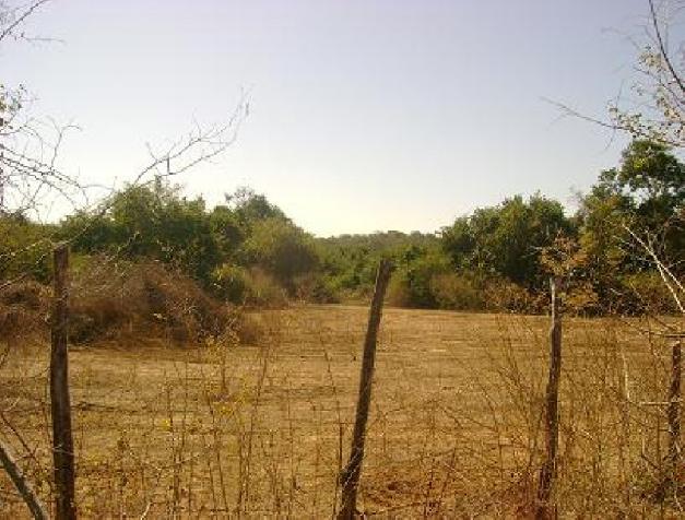 protected_cercado_1_