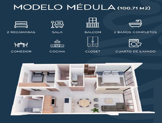 MEDULA 
