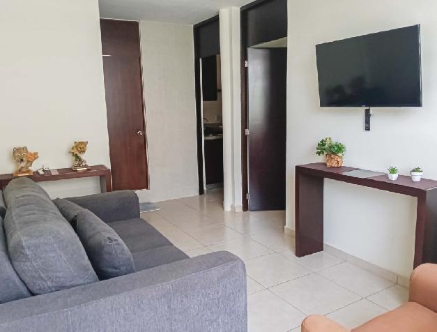 Furnished apartment for rent in the center